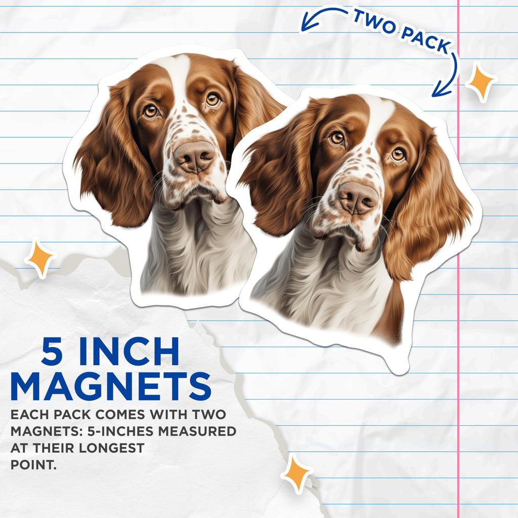 (2 Pack) Springer Spaniel Magnets - Dog Breed Decor - Pet Lover Refrigerator Magnet - Animal Art for Dog Owners - 5 Inches On Longest Side - Thick Durable Magnet - Made in USA - MAG28327