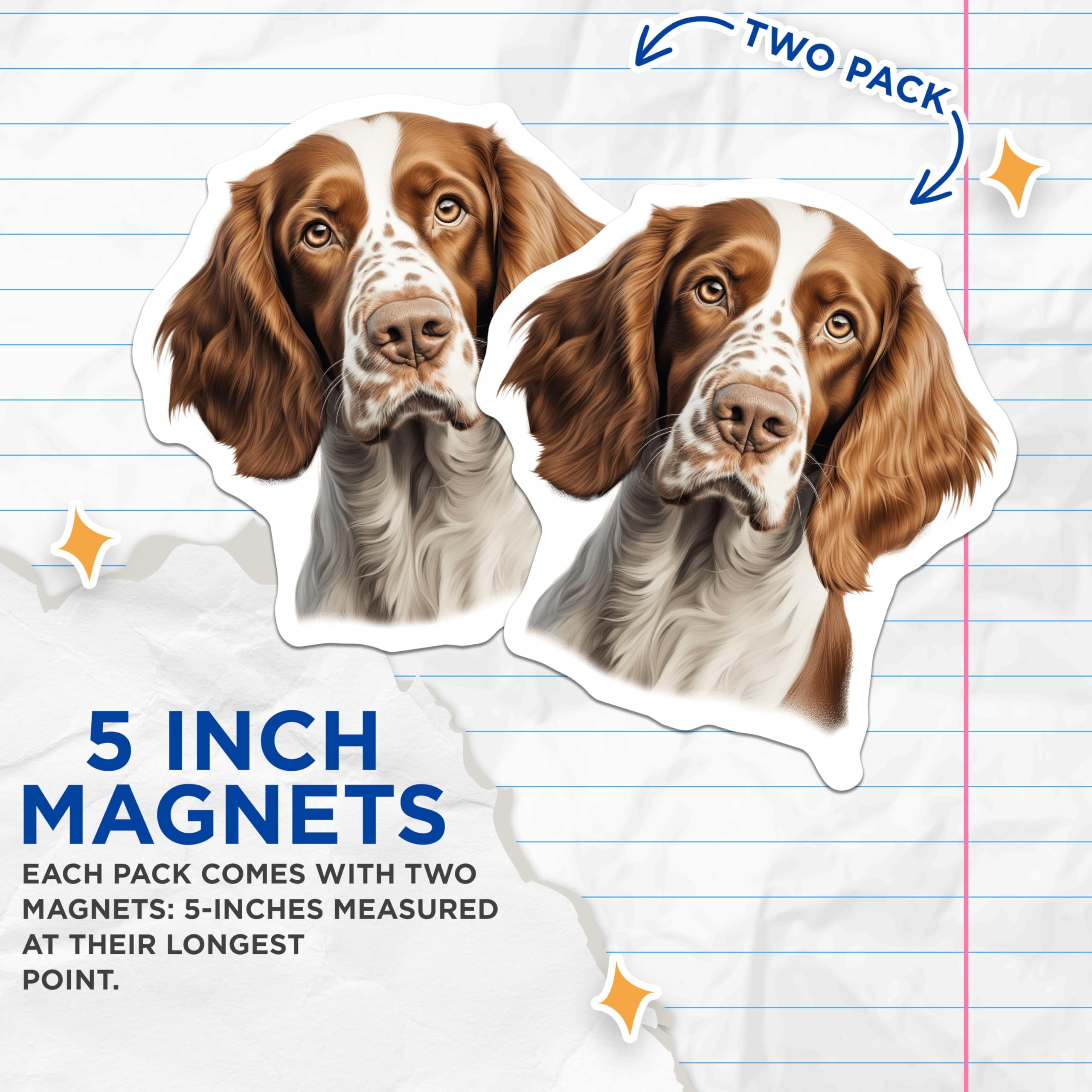 (2 Pack) Springer Spaniel Magnets - Dog Breed Decor - Pet Lover Refrigerator Magnet - Animal Art for Dog Owners - 5 Inches On Longest Side - Thick Durable Magnet - Made in USA - MAG28327
