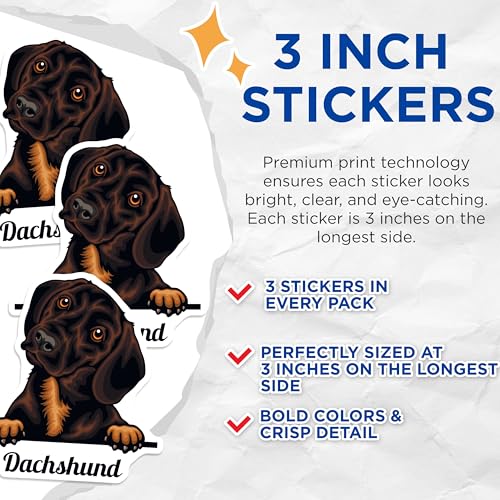 (3 Pack) Dachshund Decals - Cute Dog Stickers - Laptop Decals - 3 Inches On Longest Side - Easy Peel & Apply - Made in USA - 3MCS2987