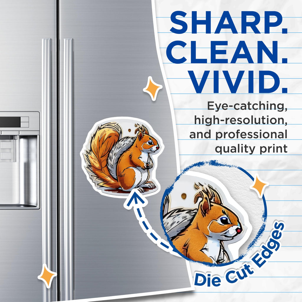 (2 Pack) Cute Squirrel Magnets - Woodland Creature Decor - Refrigerator Animal Art - 5 Inches On Longest Side - Thick Durable Magnet - Made in USA - MAG20534