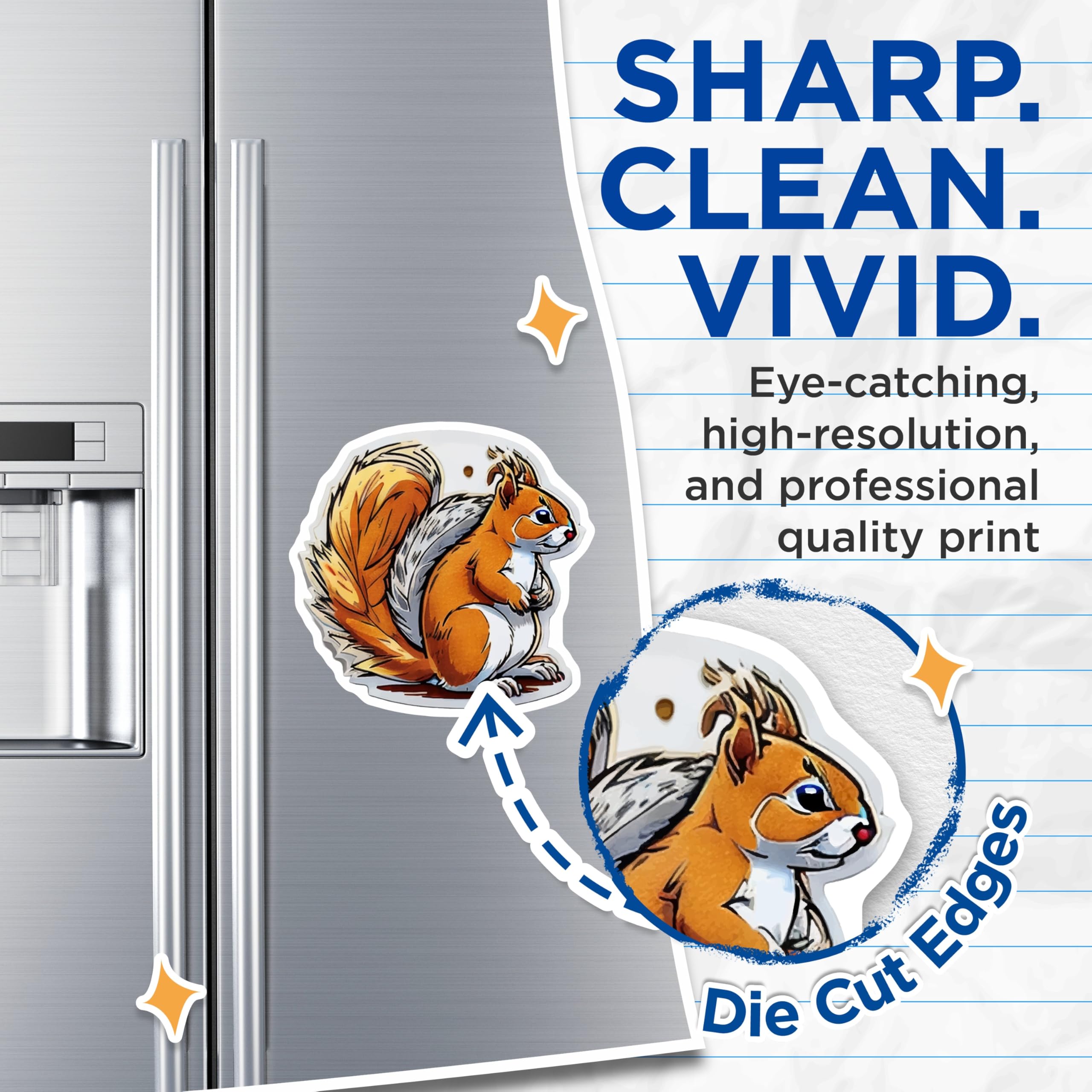 (2 Pack) Cute Squirrel Magnets - Woodland Creature Decor - Refrigerator Animal Art - 5 Inches On Longest Side - Thick Durable Magnet - Made in USA - MAG20534