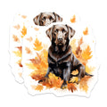 (2 Pack) Chocolate Lab Fall Magnets - Labrador Retriever Autumn Dog Decor - Pet Lover Seasonal Refrigerator Magnets - 5 Inches On Longest Side - Thick Durable Magnet - Made in USA - MAG27354