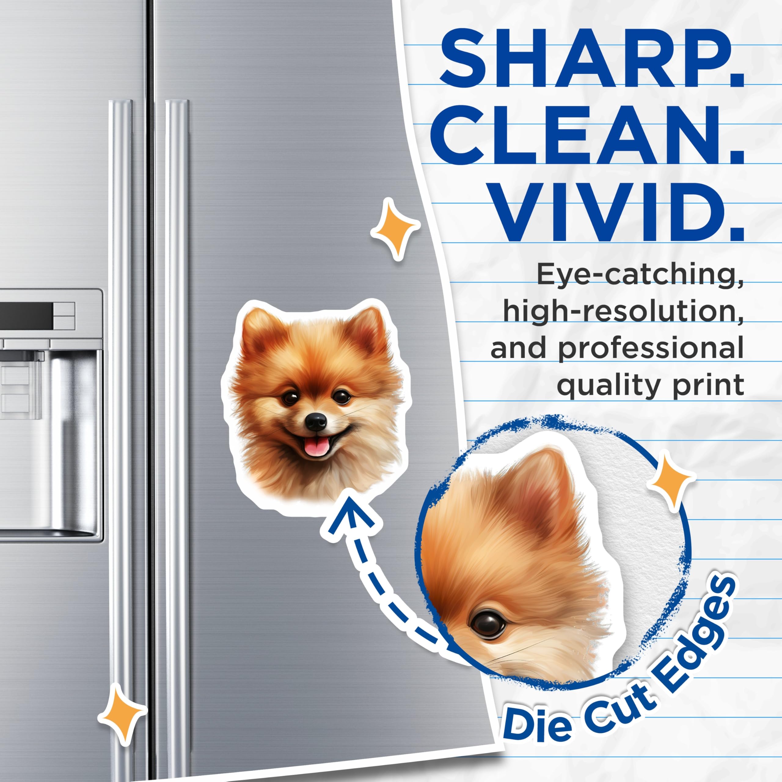 (2 Pack) Pomeranian Magnets - Cute Dog Lover Fridge Decor - Pet Parent Kitchen Accessory - Happy Smiling Canine Refrigerator - 5 Inches On Longest Side - Thick Durable Magnet - Made in USA - MAG26539