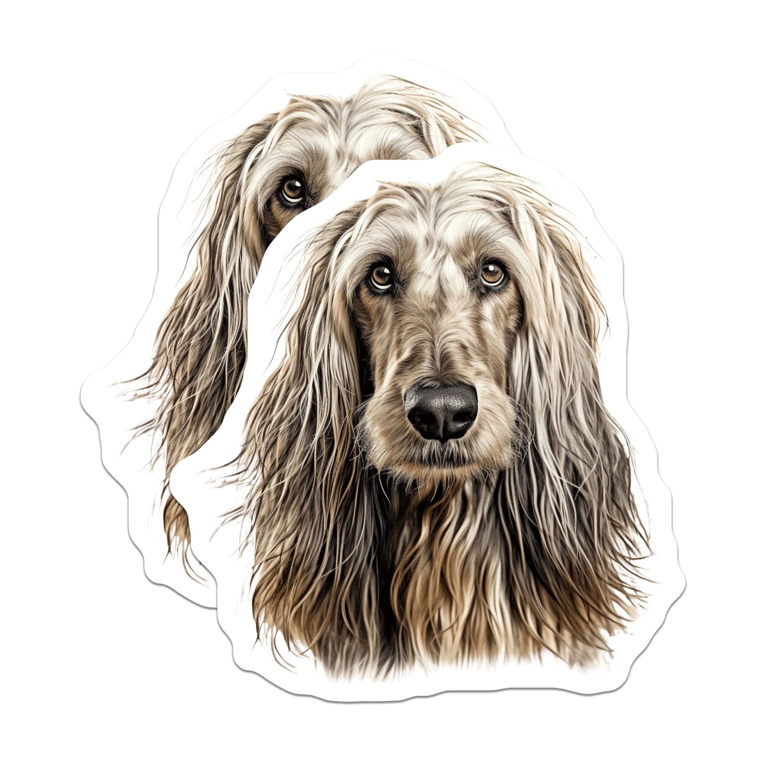 (2 Pack) Afghan Hound Dog Magnets - Elegant Canine Portrait - Pet Lover Fridge Decor - Dog Owner Accessory - 5 Inches On Longest Side - Thick Durable Magnet - Made in USA - MAG30007