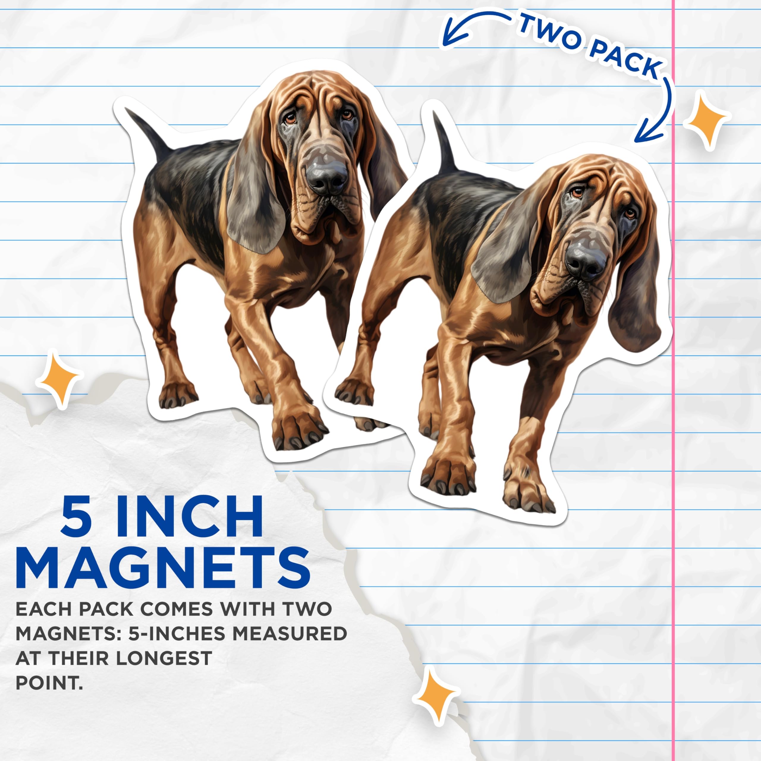 (2 Pack) Bloodhound Dog Magnets - Realistic Hound Dog Decor - Pet Lover Refrigerator Accessory - 5 Inches On Longest Side - Thick Durable Magnet - Made in USA - MAG27264