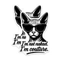 (2 Pack) Sphynx Cat Magnets - Funny Pet Lover - Sassy Couture Quote - Refrigerator Decor for Cat Mom - 5 Inches On Longest Side - Thick Durable Magnet - Made in USA - MAG38641