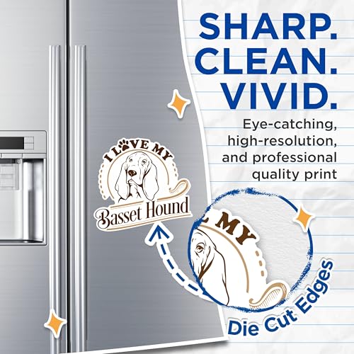 (2 Pack) I Love My Basset Hound Magnets - Dog Lover Car Magnets - Unique Dog Breed Fridge Magnets- 5" On Longest Side - for Fridges, Toolboxes, Cars - Made in USA - MAG2964