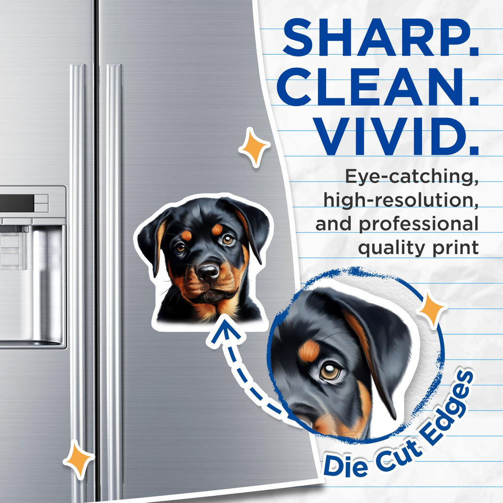 (2 Pack) Rottweiler Puppy Magnets - Dog Lover Decor - Pet Parent Accessory - 5 Inches On Longest Side - Thick Durable Magnet - Made in USA - MAG28700