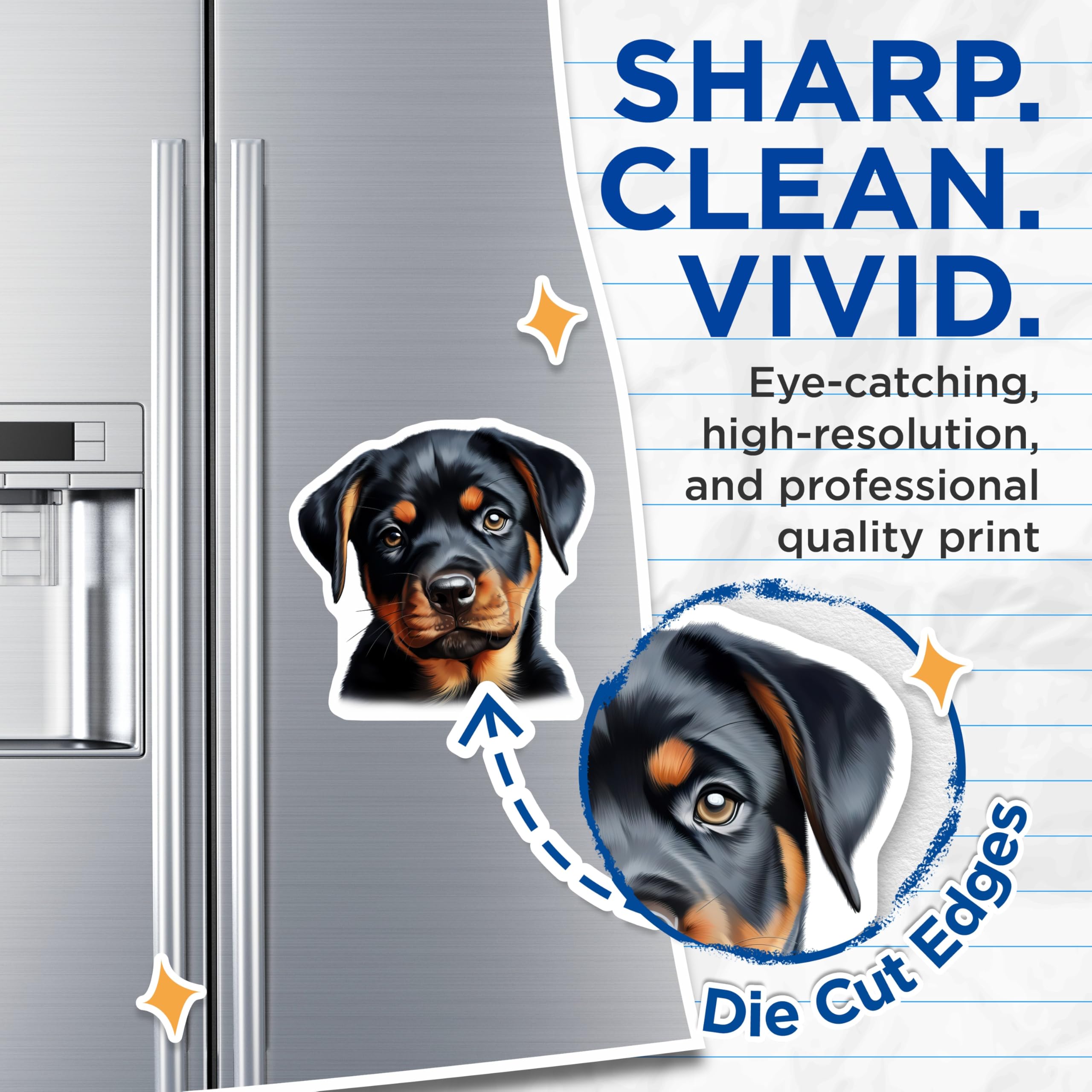 (2 Pack) Rottweiler Puppy Magnets - Dog Lover Decor - Pet Parent Accessory - 5 Inches On Longest Side - Thick Durable Magnet - Made in USA - MAG28700
