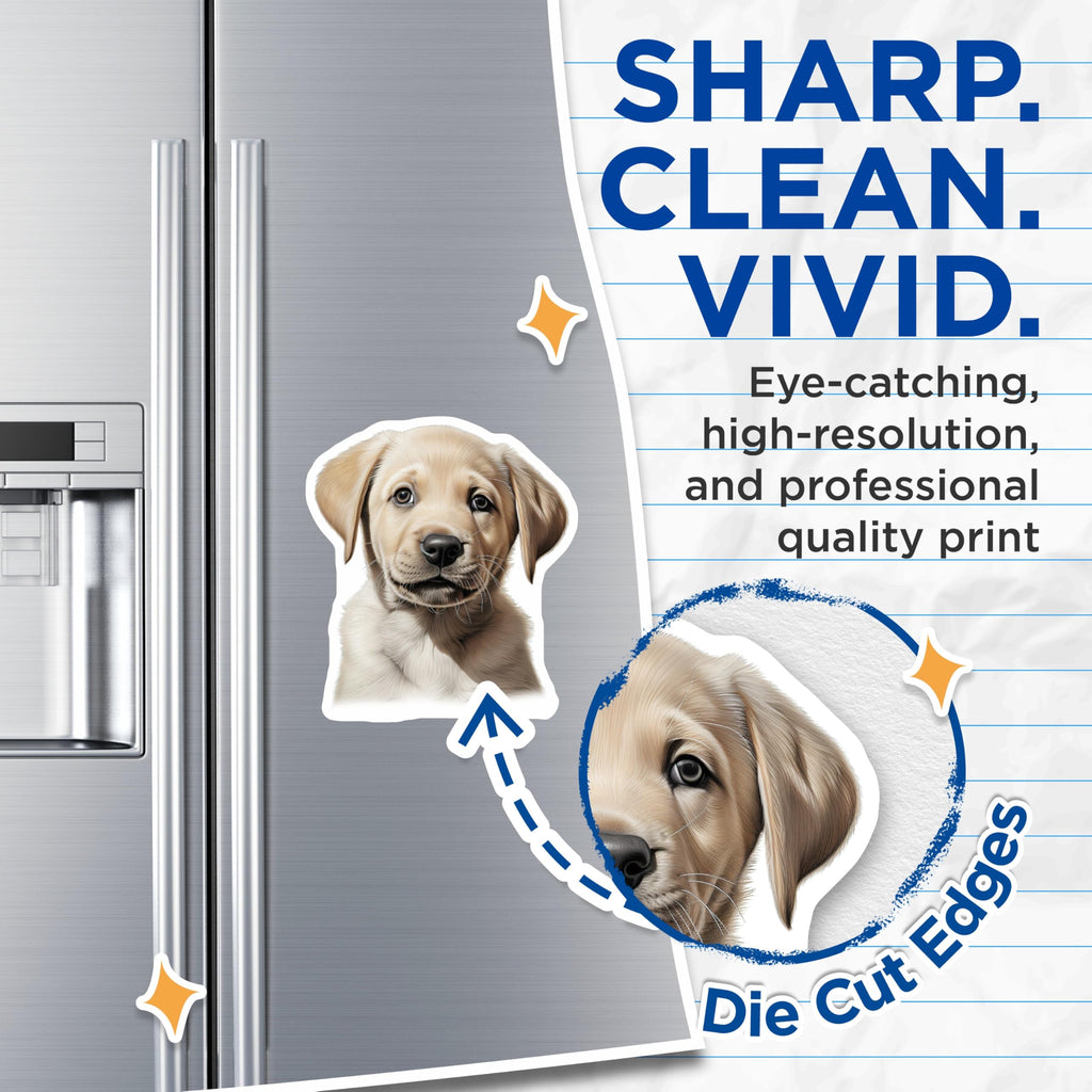 (2 Pack) Adorable Labrador Puppy Magnets - Yellow Lab Dog Refrigerator Decor - Cute Pet Lover Kitchen Office Locker Accent - 5 Inches On Longest Side - Thick Durable Magnet - Made in USA - MAG28316
