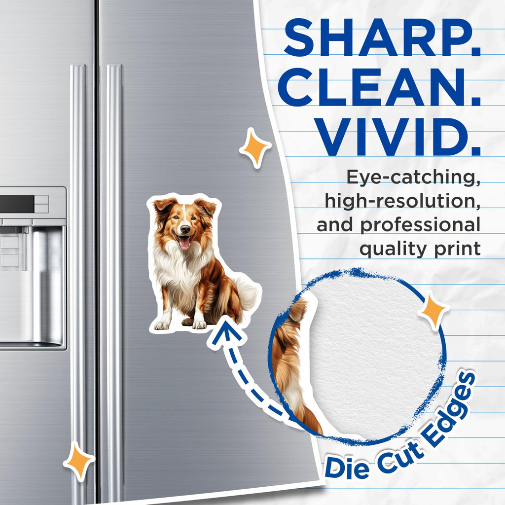 (2 Pack) Border Collie Magnets - Happy Smiling Dog Art - Pet Lover Refrigerator Decor for Canine Enthusiasts - 5 Inches On Longest Side - Thick Durable Magnet - Made in USA - MAG30457