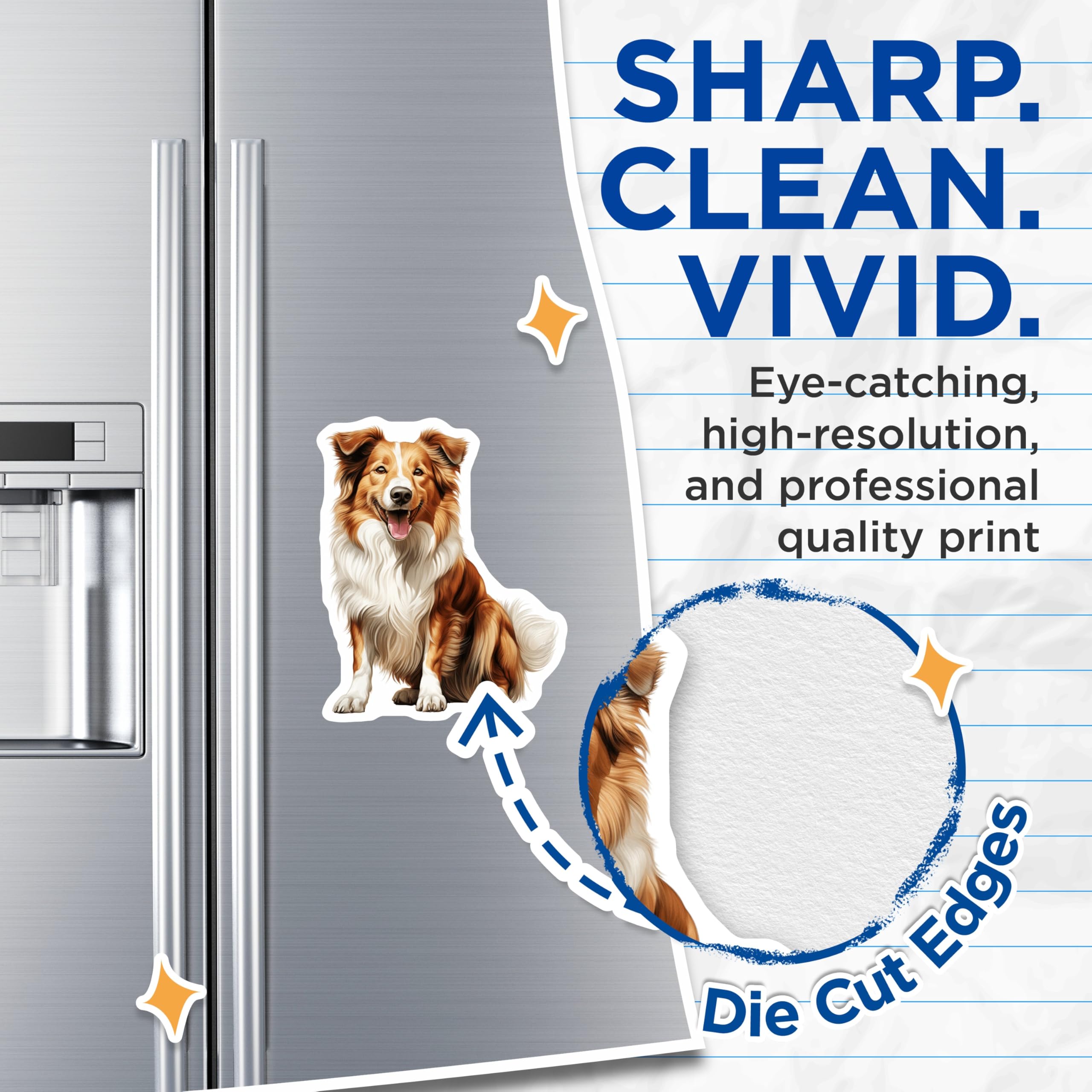 (2 Pack) Border Collie Magnets - Happy Smiling Dog Art - Pet Lover Refrigerator Decor for Canine Enthusiasts - 5 Inches On Longest Side - Thick Durable Magnet - Made in USA - MAG30457