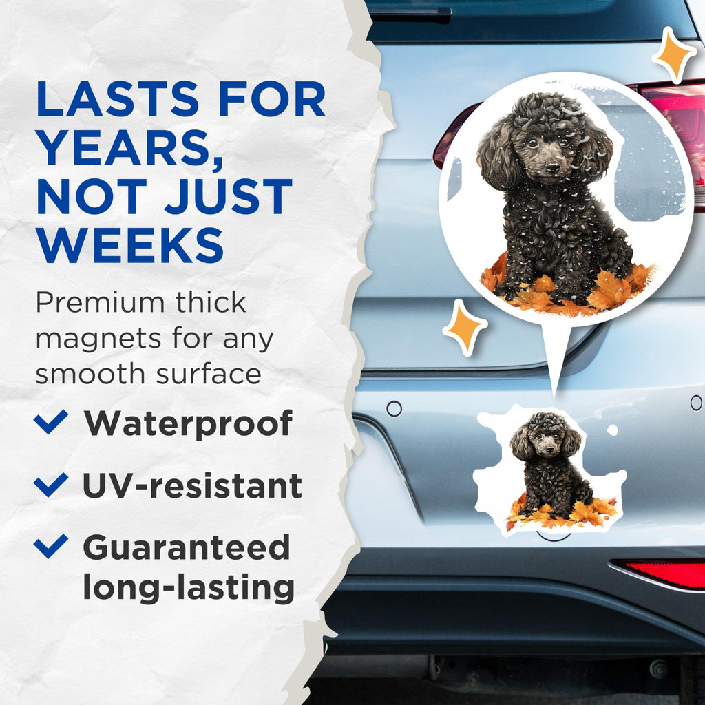 (2 Pack) Black Poodle Puppy Magnets - Autumn Leaves Dog Lover Decor - Fall Refrigerator Magnets for Poodle Mom - 5 Inches On Longest Side - Thick Durable Magnet - Made in USA - MAG26320