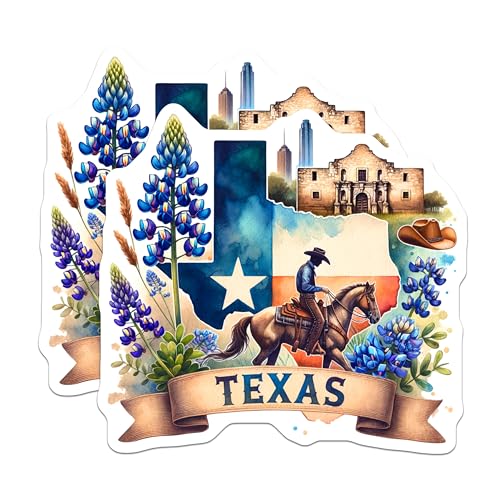 (2 Pack) Texas Patriotic Magnets - Cowboy Riding Horse - Bluebonnet Flower Design - 5" On Longest Side - for Cars, Fridges, Toolboxes - Made in USA - MAG6991