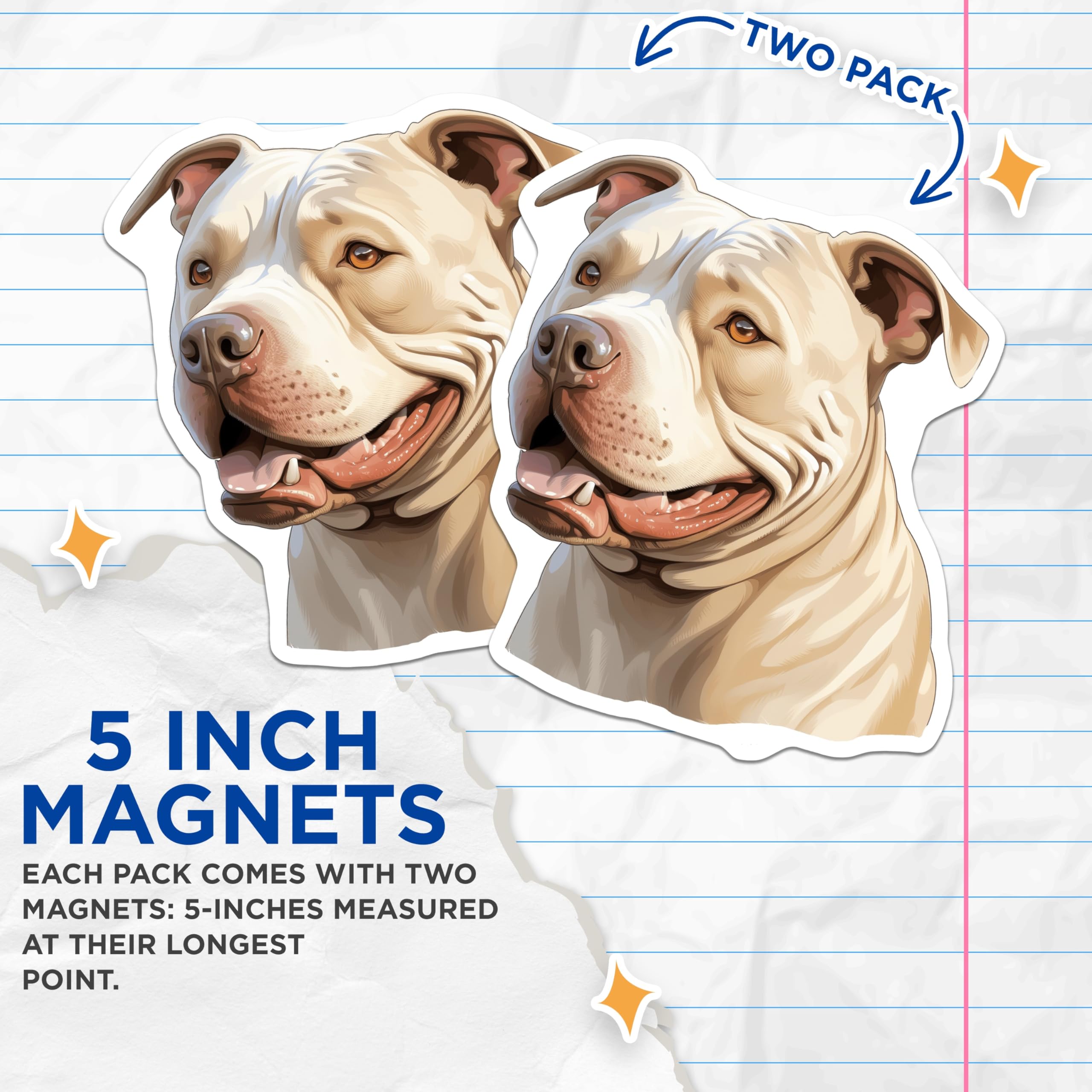 (2 Pack) Pitbull Dog Magnets - Cream Pitbull Face - Happy Pet Lover Decor - 5 Inches On Longest Side - Thick Durable Magnet - Made in USA - MAG28582
