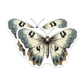(2 Pack) Butterfly Illustration Stickers - Vintage Butterfly Stickers - Elegant Art Stickers - 5" On Longest Side - Sticks to Any Smooth Flat Surface - Made in USA - BMCS3390