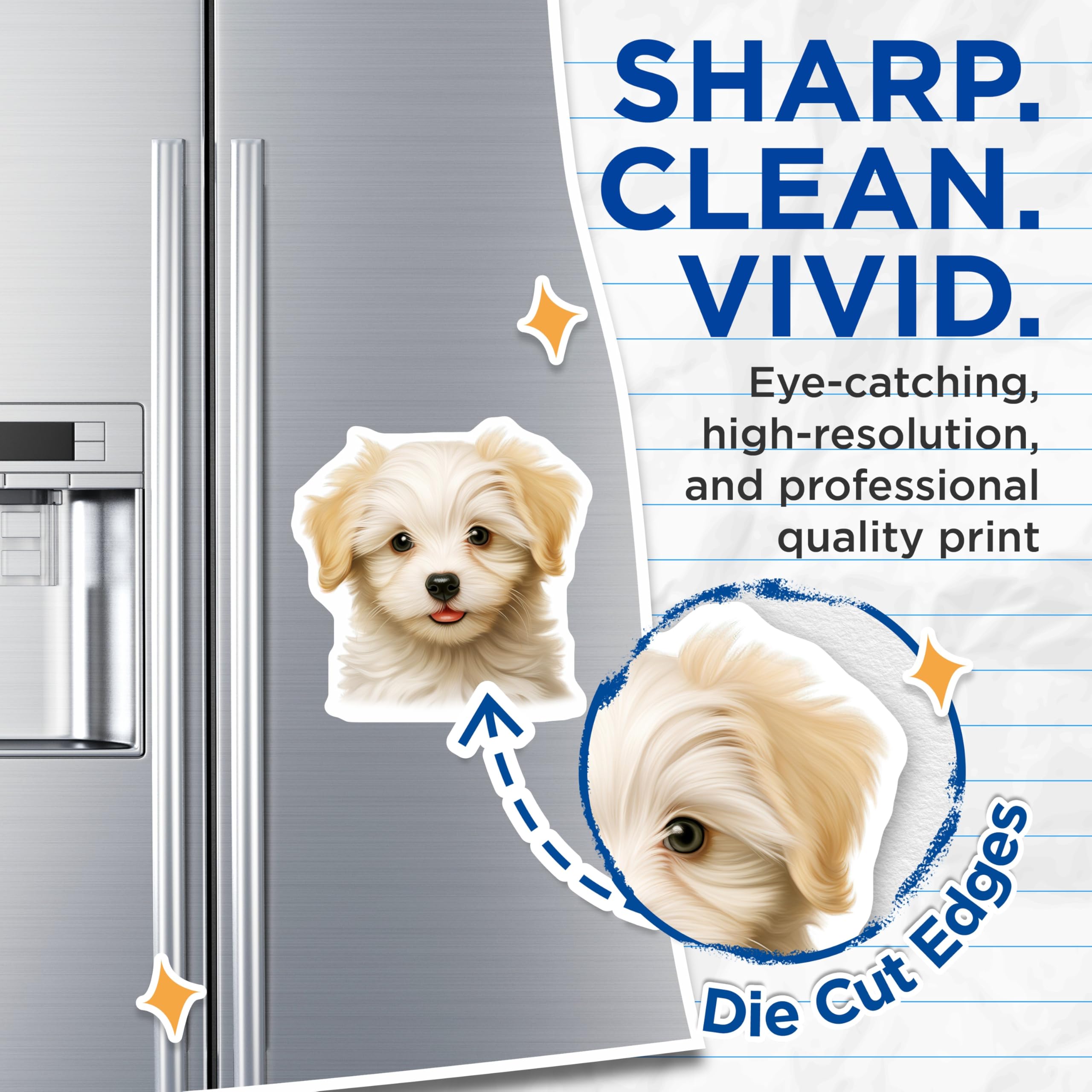 (2 Pack) Adorable Fluffy Puppy Magnets - Sweet Cream White Dog Face - Charming Pet Refrigerator Home Kitchen Decor - 5 Inches On Longest Side - Thick Durable Magnet - Made in USA - MAG23800