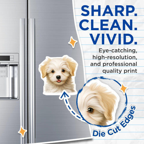 (2 Pack) Adorable Fluffy Puppy Magnets - Sweet Cream White Dog Face - Charming Pet Refrigerator Home Kitchen Decor - 5 Inches On Longest Side - Thick Durable Magnet - Made in USA - MAG23800