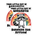 (2 Pack) Sarcastic Raccoon Magnets - Rainbow Sunshine Magnet - Cute Animal Magnets - 5" On Longest Side - Premium Magnet - for Cars, Refrigerators, Toolboxes, Lockers - Made in USA - MAG14456