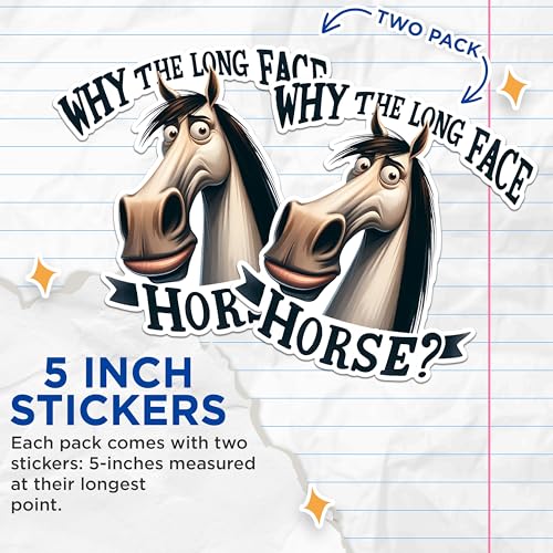 (2 Pack) Funny Horse Stickers - Why The Long Face Horse Meme Stickers - Hilarious Animal Sticker Decals - 5" On Longest Side - Sticks to Any Smooth Flat Surface - Made in USA - BMCS2640