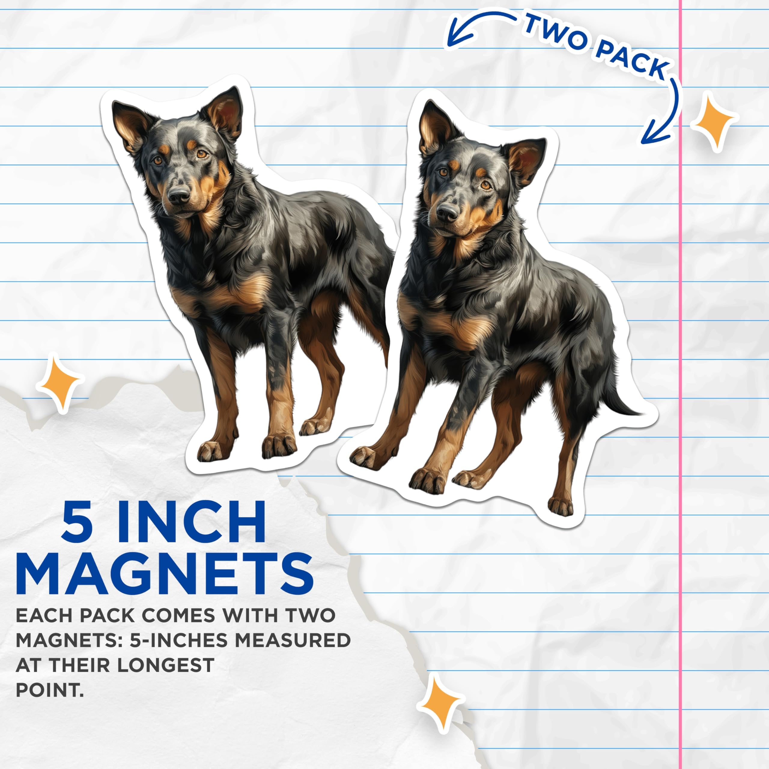 (2 Pack) Australian Cattle Dog Magnets - Blue Heeler Dog Art - Pet Portrait Refrigerator Magnets - 5 Inches On Longest Side - Thick Durable Magnet - Made in USA - MAG30154