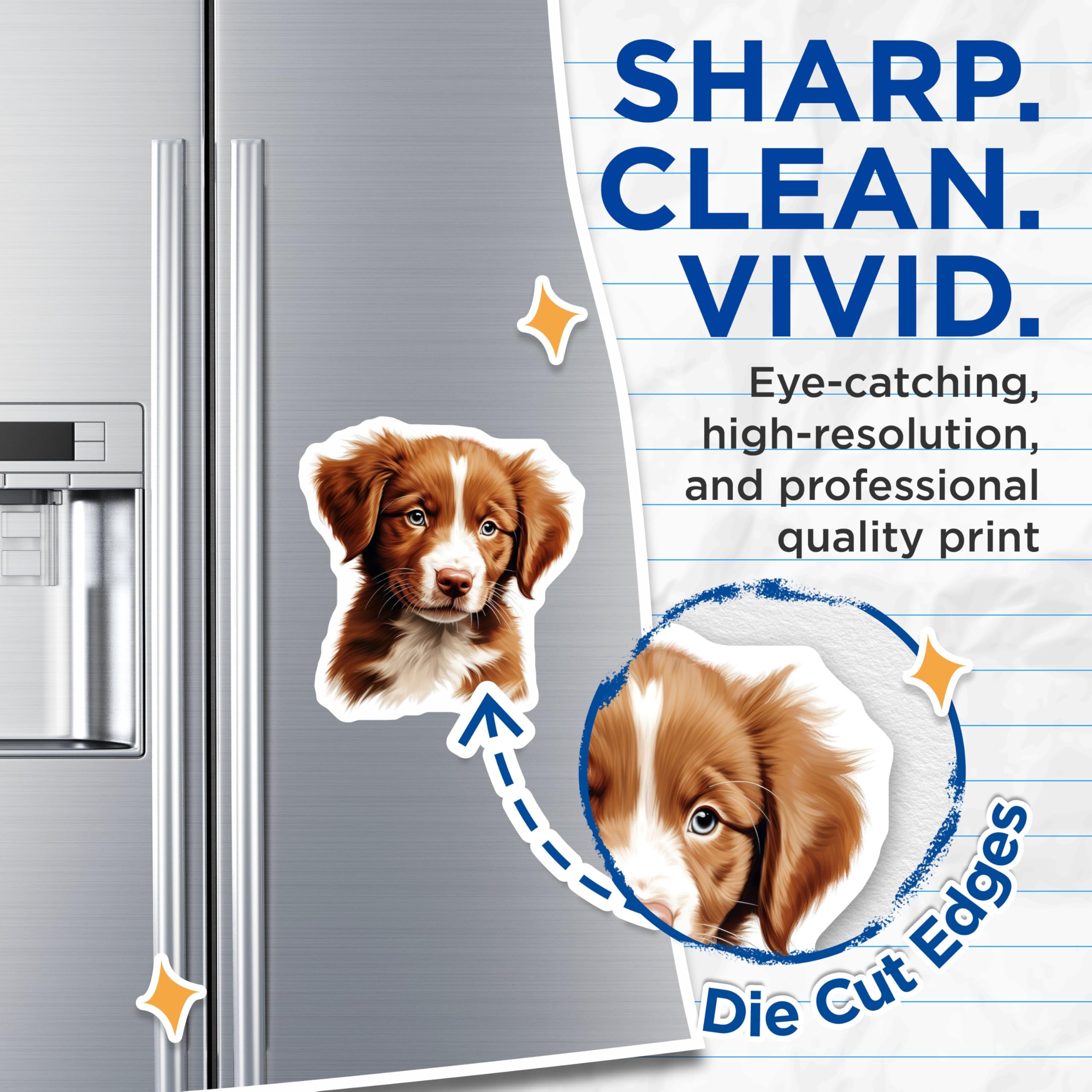 (2 Pack) Nova Scotia Duck Tolling Retriever Magnets - Cute Puppy Dog Art - Pet Lover Decor for Dog Moms - 5 Inches On Longest Side - Thick Durable Magnet - Made in USA - MAG28377