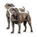 (2 Pack) Neapolitan Mastiff Magnets - Powerful Mastiff Art - Dog Breed Fan Items - 5 Inches On Longest Side - Thick Durable Magnet - Made in USA - MAG29527