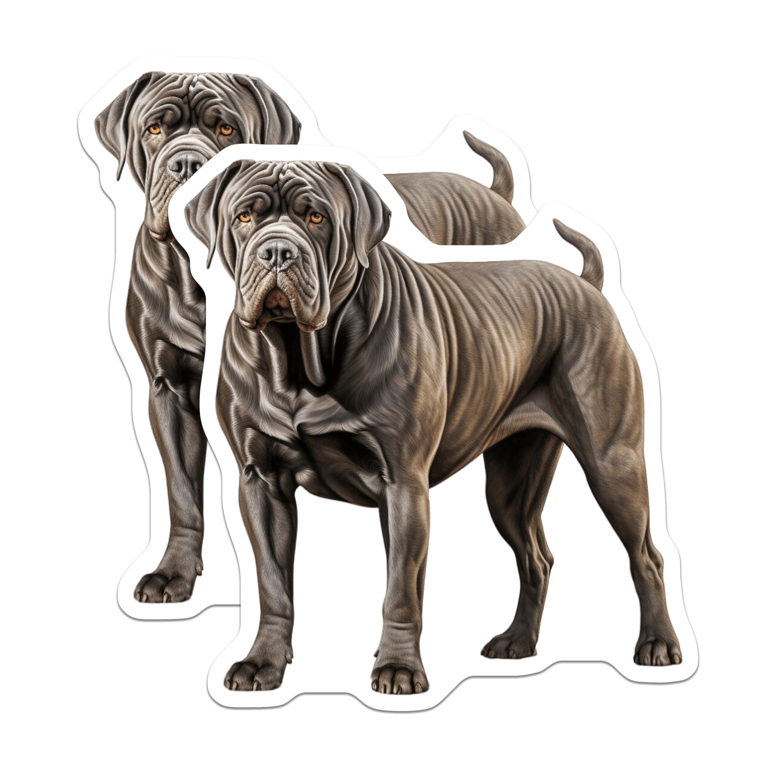 (2 Pack) Neapolitan Mastiff Magnets - Powerful Mastiff Art - Dog Breed Fan Items - 5 Inches On Longest Side - Thick Durable Magnet - Made in USA - MAG29527