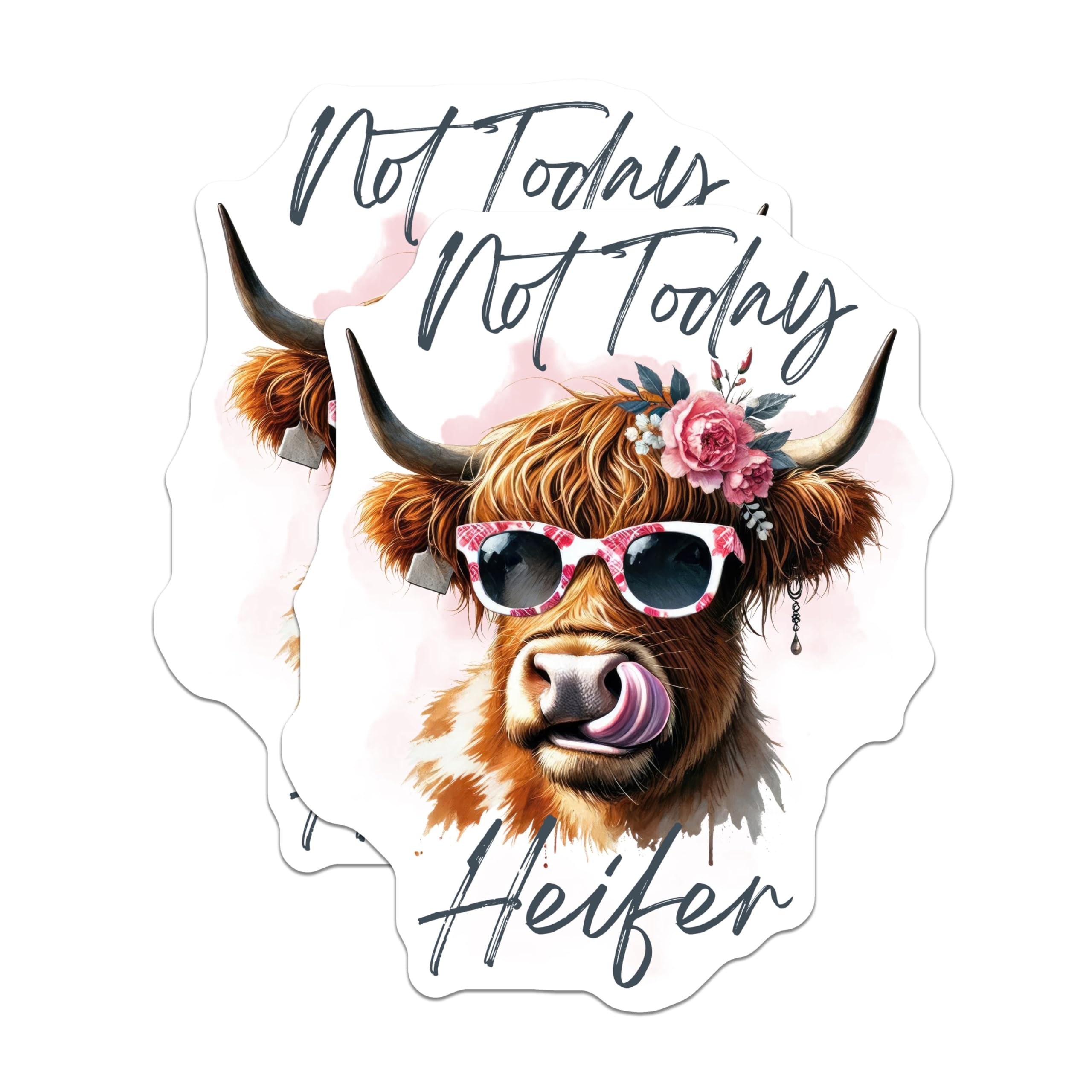 (2 Pack) Not Today Heifer Stickers - Funny Cow - Humorous Farm Animal - Cute Cow with Sunglasses - 5" On Longest Side - Sticks to Smooth Flat Surfaces - Made in USA - BMCS5227