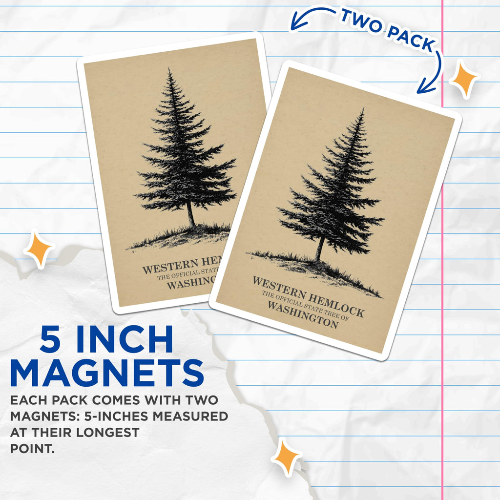 (2 Pack) Western Hemlock Magnets - Washington State Tree - Botanical Forest Decor - 5 Inches On Longest Side - Thick Durable Magnet - Made in USA - MAG19338