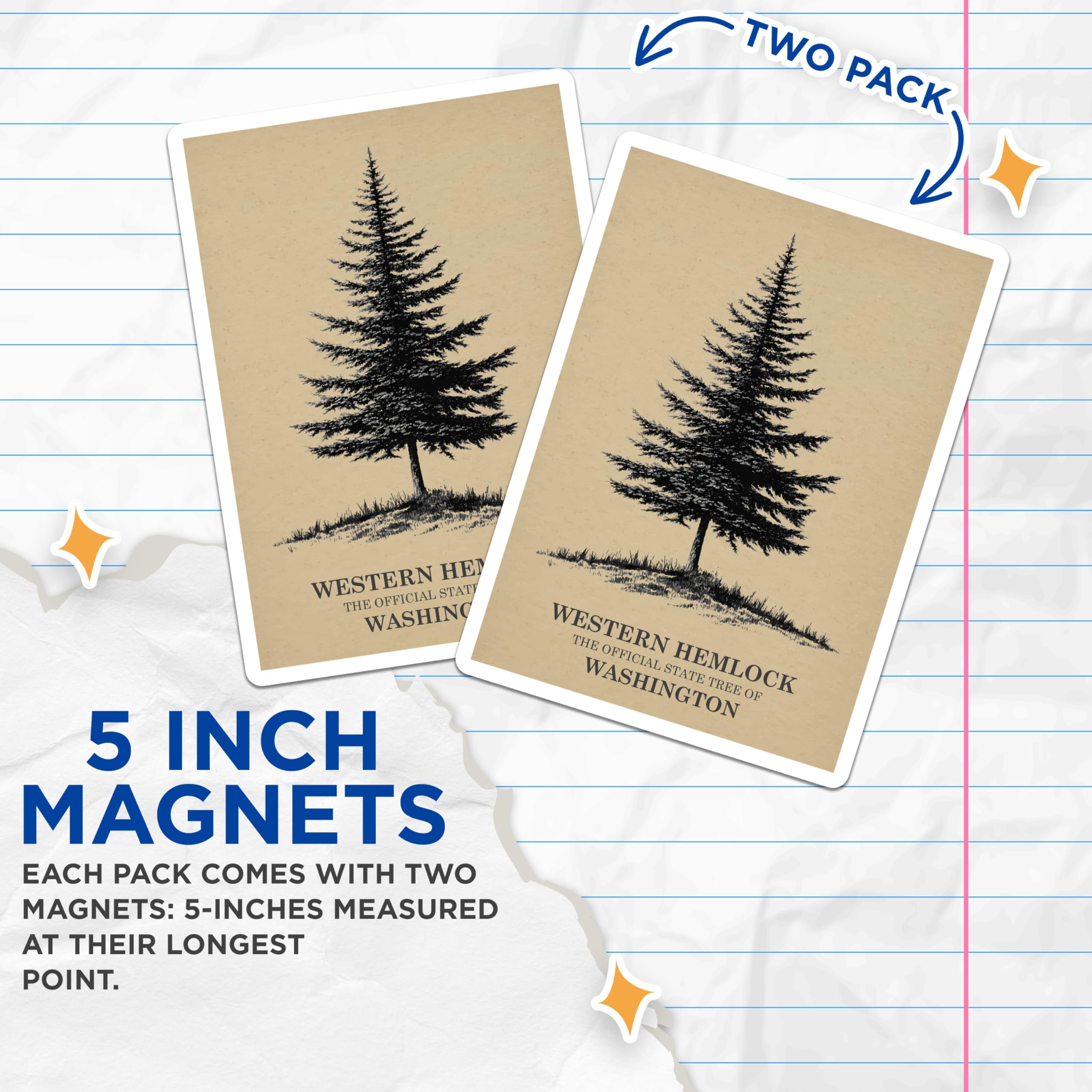 (2 Pack) Western Hemlock Magnets - Washington State Tree - Botanical Forest Decor - 5 Inches On Longest Side - Thick Durable Magnet - Made in USA - MAG19338