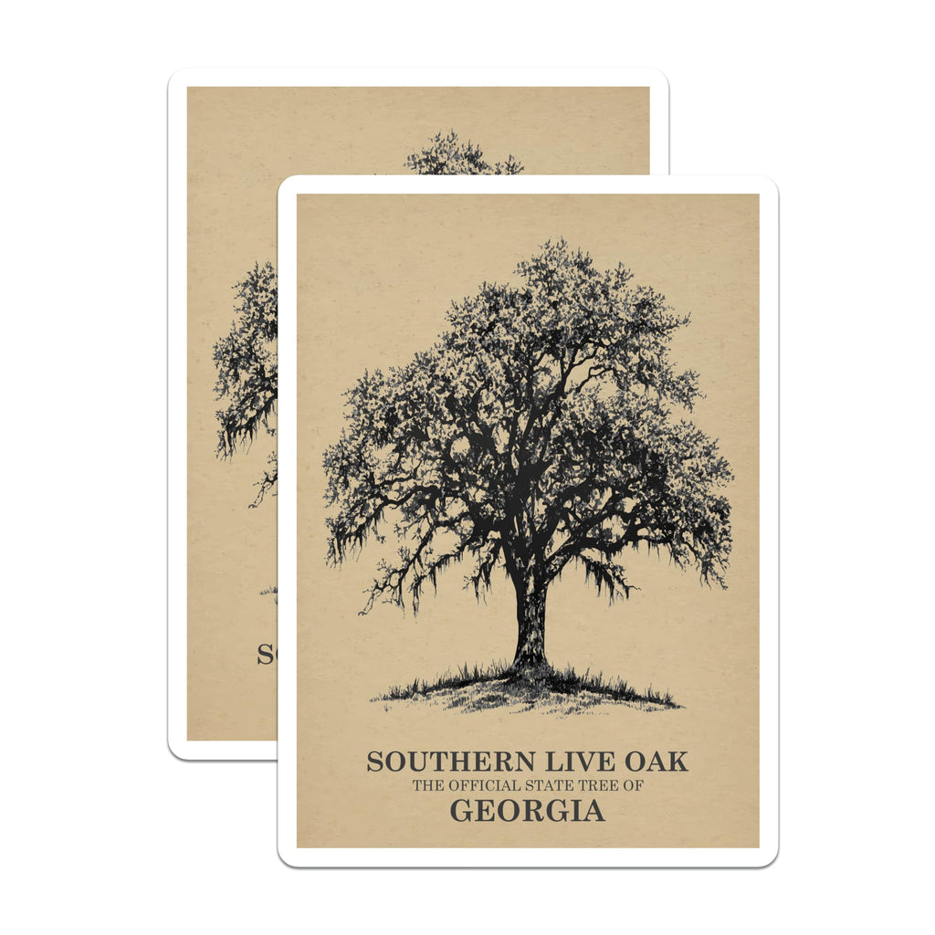 (2 Pack) Southern Live Oak Magnets - Georgia State Tree - Botanical Illustration Art - Nature Tree Sketch Decor - 5 Inches On Longest Side - Thick Durable Magnet - Made in USA - MAG19407
