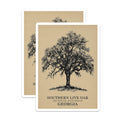 (2 Pack) Southern Live Oak Magnets - Georgia State Tree - Botanical Illustration Art - Nature Tree Sketch Decor - 5 Inches On Longest Side - Thick Durable Magnet - Made in USA - MAG19407