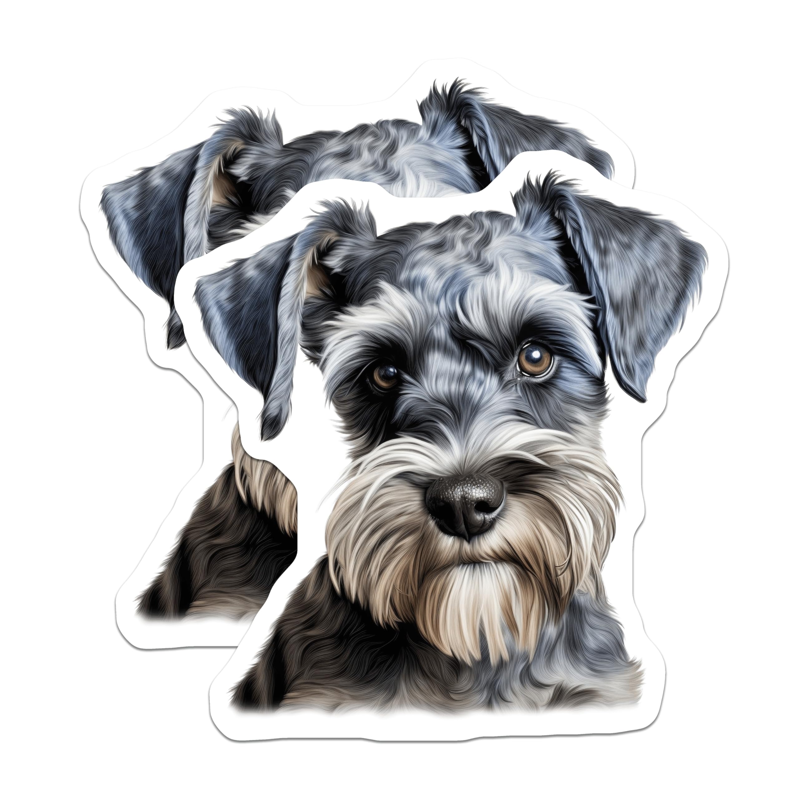 (2 Pack) Miniature Schnauzer Magnets - Dog Breed Decor - Pet Lover Home Kitchen Display - 5 Inches On Longest Side - Thick Durable Magnet - Made in USA - MAG30443