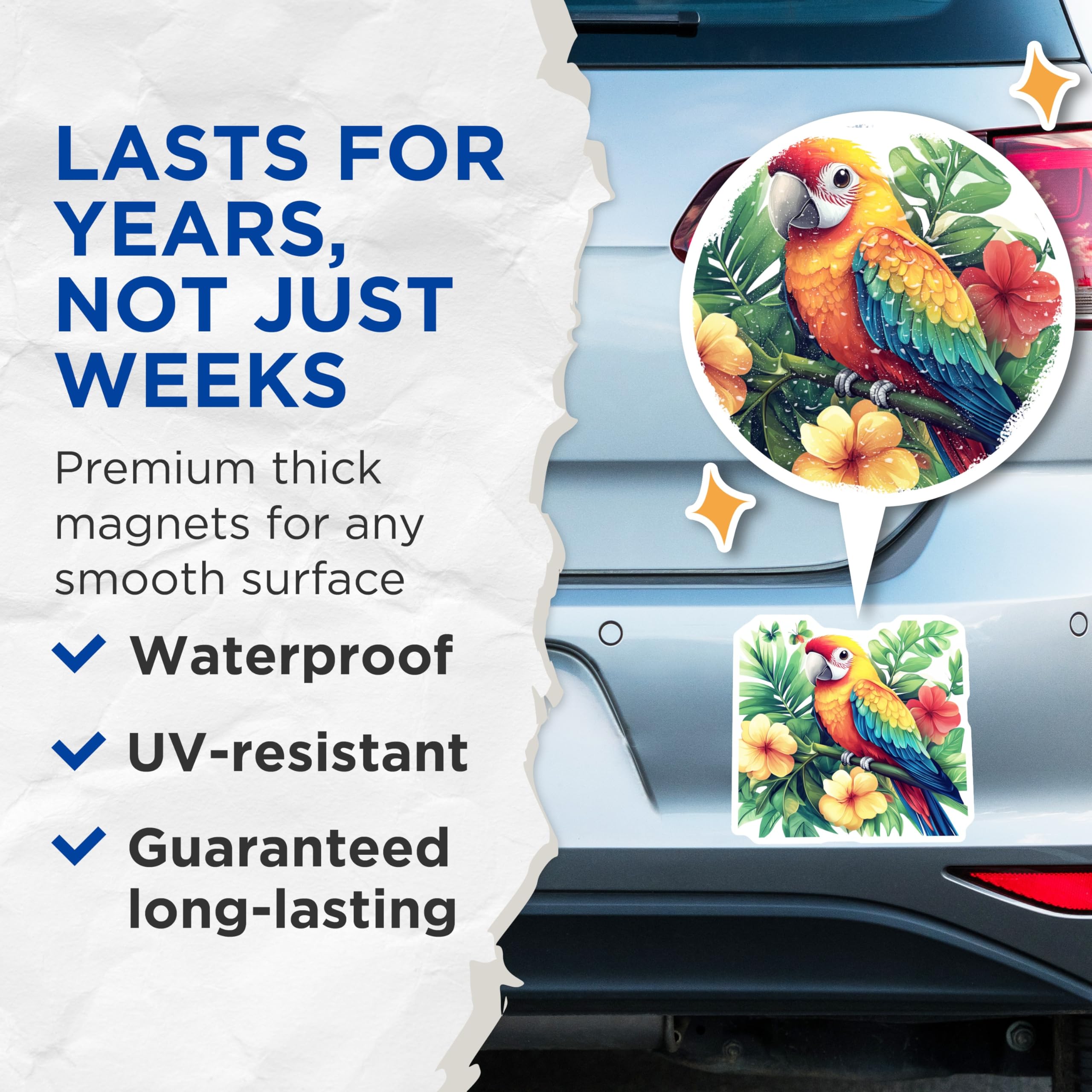 (2 Pack) Exotic Parrot Magnets - Vibrant Tropical Decor - Jungle Bird Art Collectibles - 5 Inches On Longest Side - Thick Durable Magnet - Made in USA - MAG28989