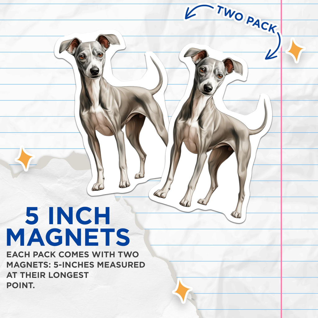 (2 Pack) Italian Greyhound Magnets - Iggy Dog Fridge Decor - Elegant Canine Art - Pet Lover Accessories - 5 Inches On Longest Side - Thick Durable Magnet - Made in USA - MAG27834
