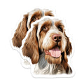 (2 Pack) Wirehaired Dog Portrait Magnets - Happy Pet Art - Dog Lover Fridge Decor - 5 Inches On Longest Side - Thick Durable Magnet - Made in USA - MAG28589