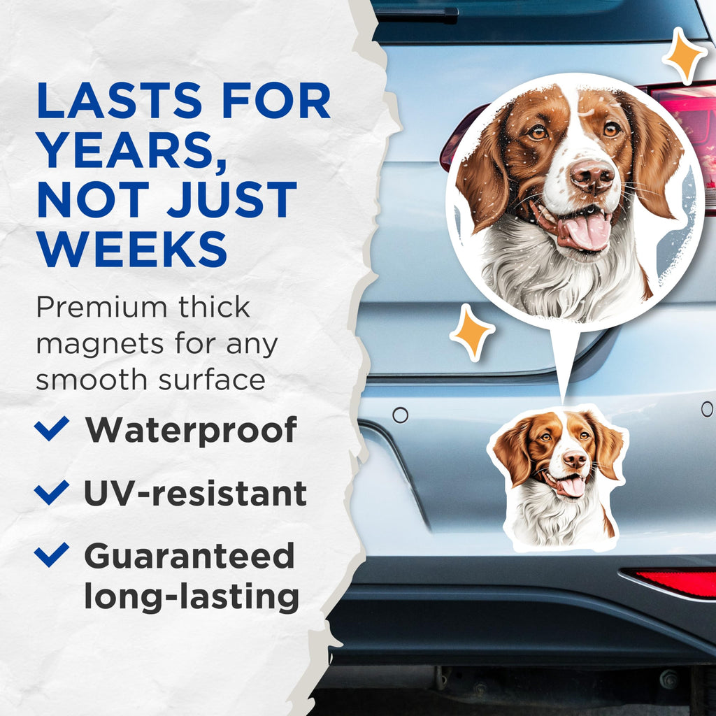 (2 Pack) Brittany Spaniel Magnets - Pet Dog Portrait Art - Happy Canine Refrigerator Decor - Animal Lover Collection - 5 Inches On Longest Side - Thick Durable Magnet - Made in USA - MAG24121