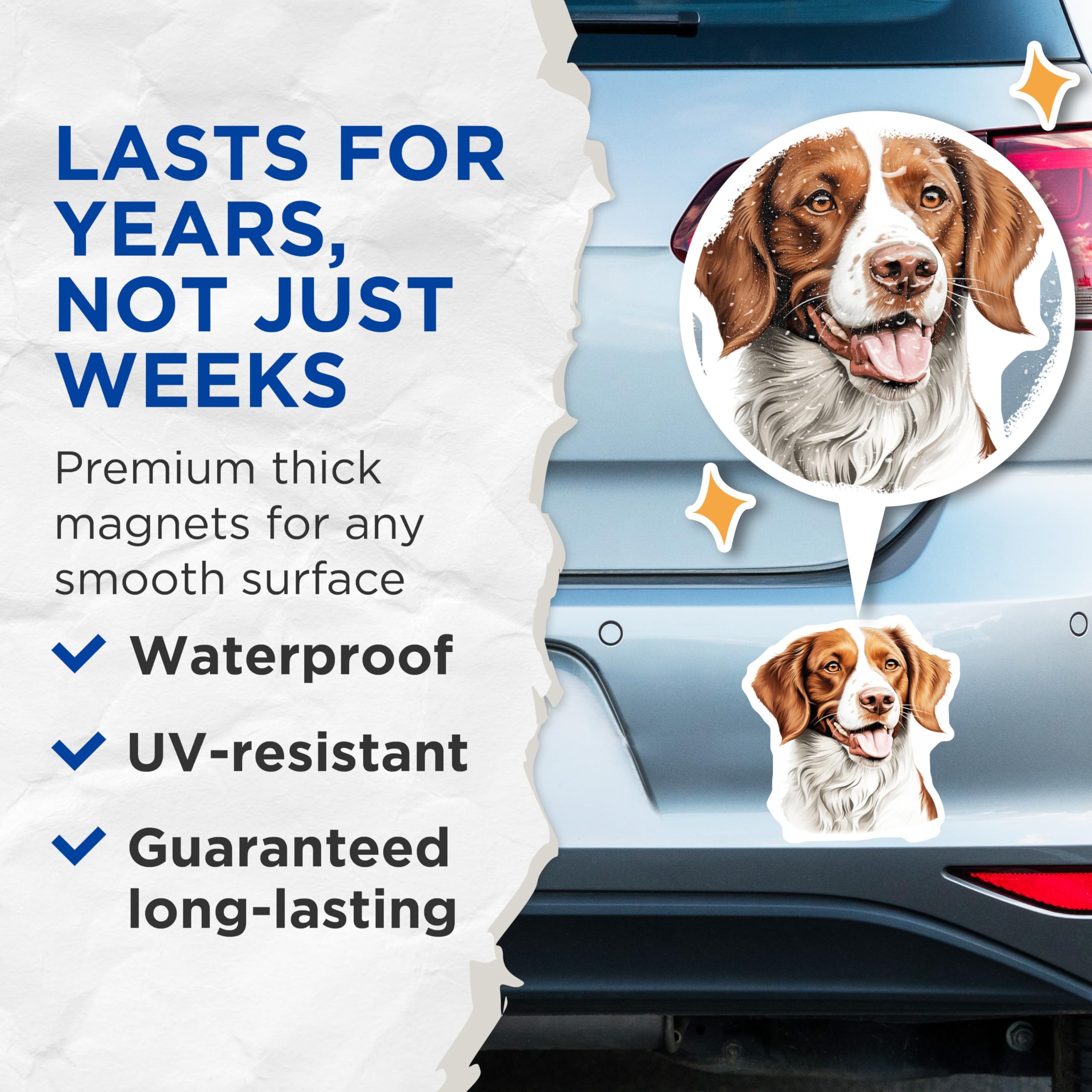 (2 Pack) Brittany Spaniel Magnets - Pet Dog Portrait Art - Happy Canine Refrigerator Decor - Animal Lover Collection - 5 Inches On Longest Side - Thick Durable Magnet - Made in USA - MAG24121