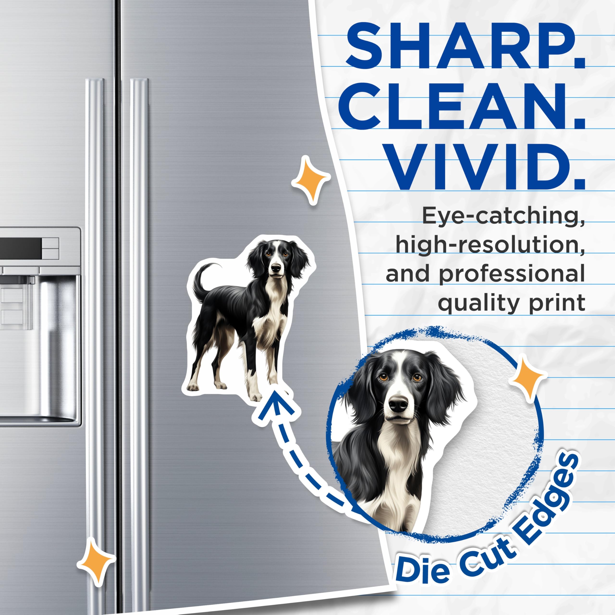 (2 Pack) Border Collie Dog Magnets - Realistic Black White Pet Art Magnet - Animal Lover Fridge Decor for Dog Parents - 5 Inches On Longest Side - Thick Durable Magnet - Made in USA - MAG30995