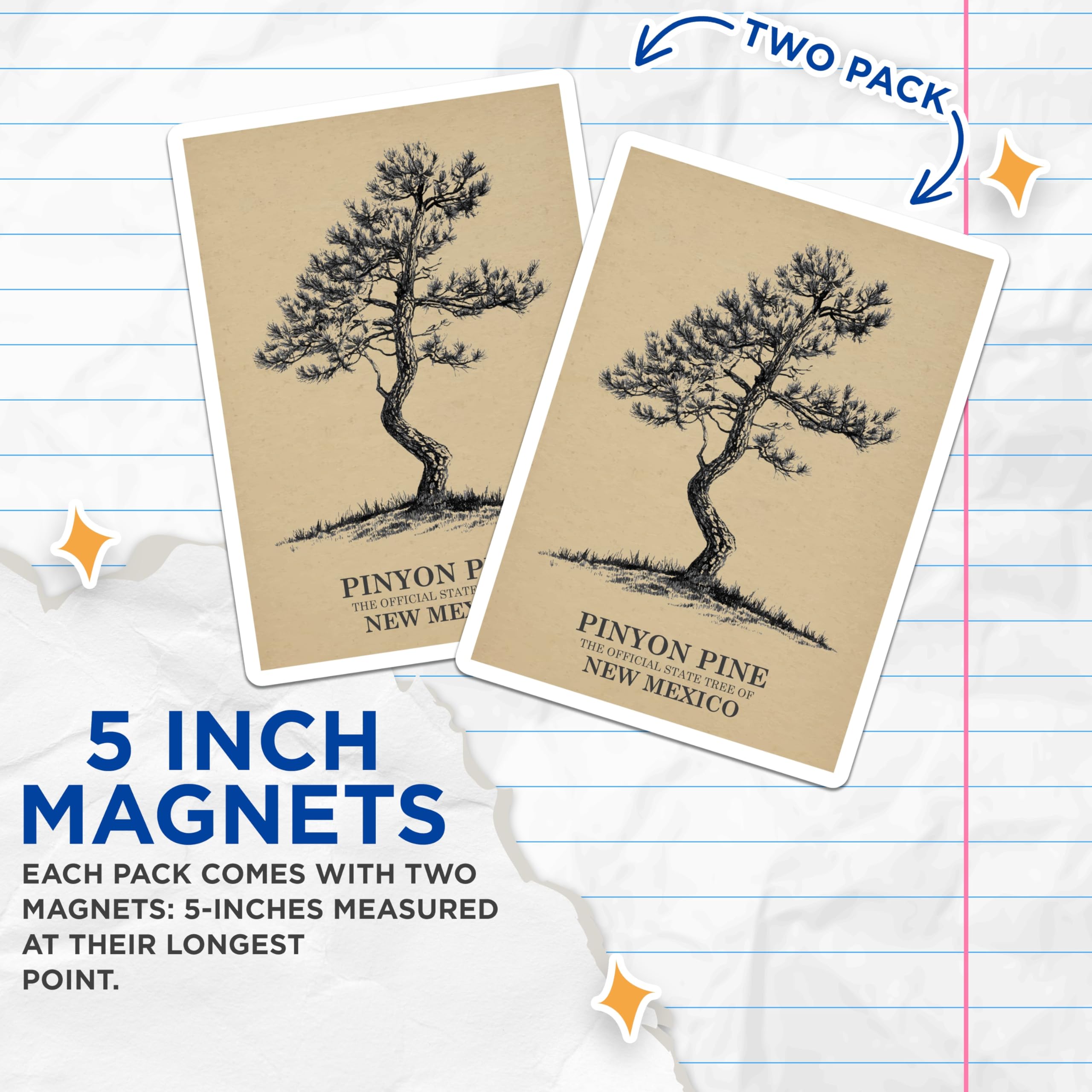 (2 Pack) Pinyon Pine Magnets - New Mexico State Tree Decor - Artistic Tree Illustrations - 5" On Longest Side - Premium Magnet - for Cars, Refrigerators, Toolboxes, Lockers - Made in USA - MAG18592