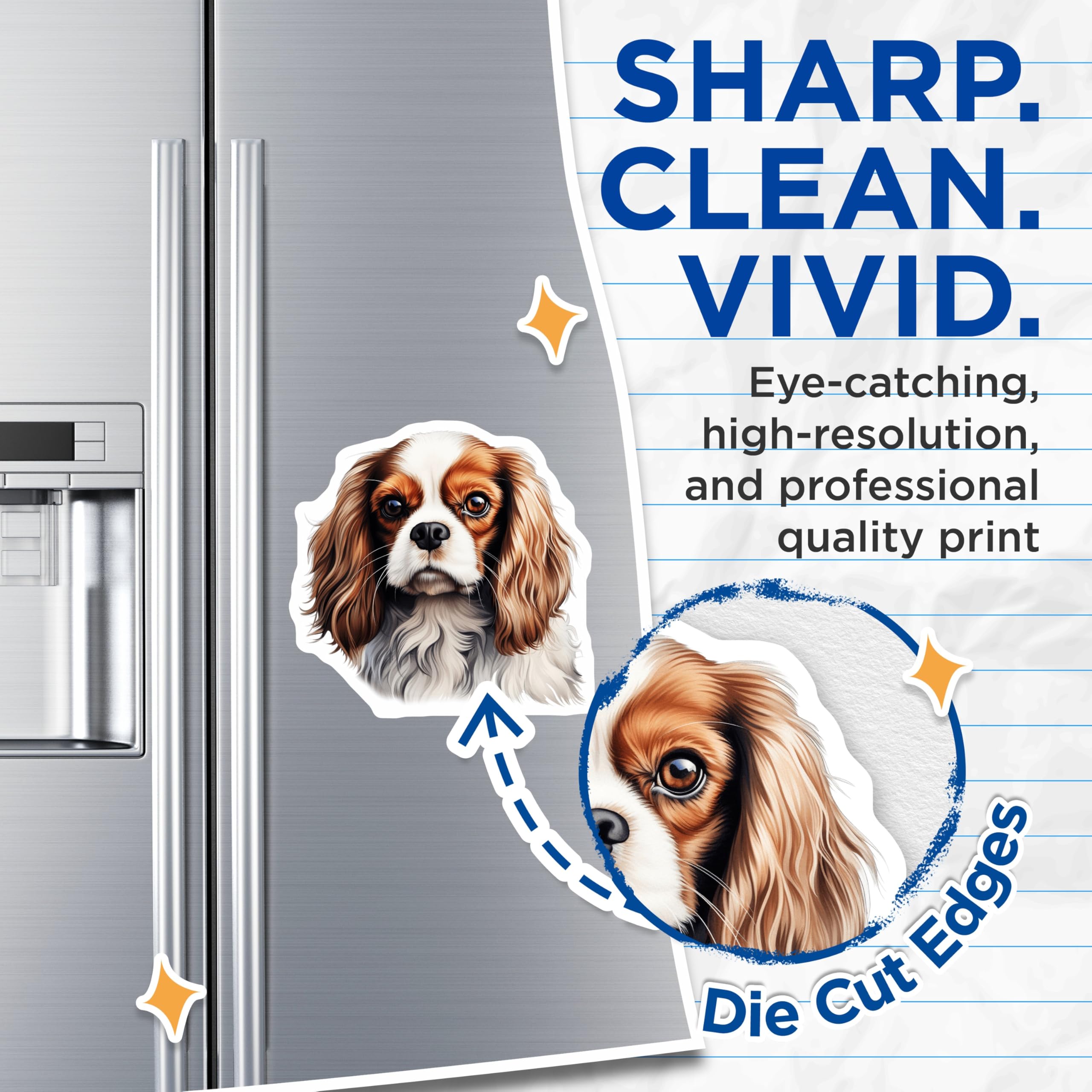 (2 Pack) Cavalier King Charles Spaniel Magnets - Blenheim Dog Breed Art - Pet Lover Refrigerator Decor - 5 Inches On Longest Side - Thick Durable Magnet - Made in USA - MAG24919