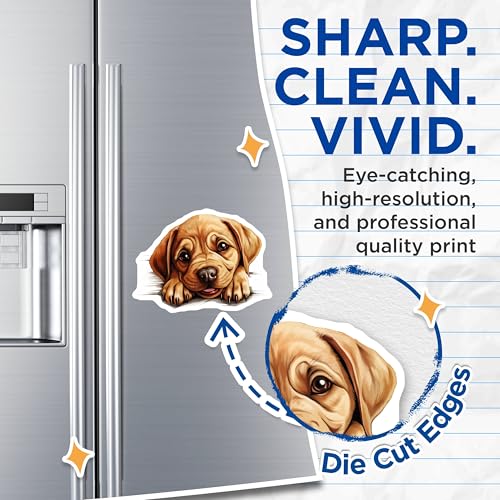 (2 Pack) Animal Kitchen Decor Magnet - 5" On Longest Side - Sticks to Smooth Flat Surfaces - Made in USA - MAG10210