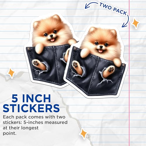 (2 Pack) Cute Pomeranian Dog Stickers - Pomeranian Art Decals - Adorable Pet Stickers for Laptops and Water Bottles - 5" On Longest Side - Sticks to Smooth Flat Surfaces - Made in USA - BMCS4249