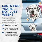 (2 Pack) Dalmatian Dog Magnets - Pet Lover Decor - Dog Mom Dad Appreciation - 5 Inches On Longest Side - Thick Durable Magnet - Made in USA - MAG27687