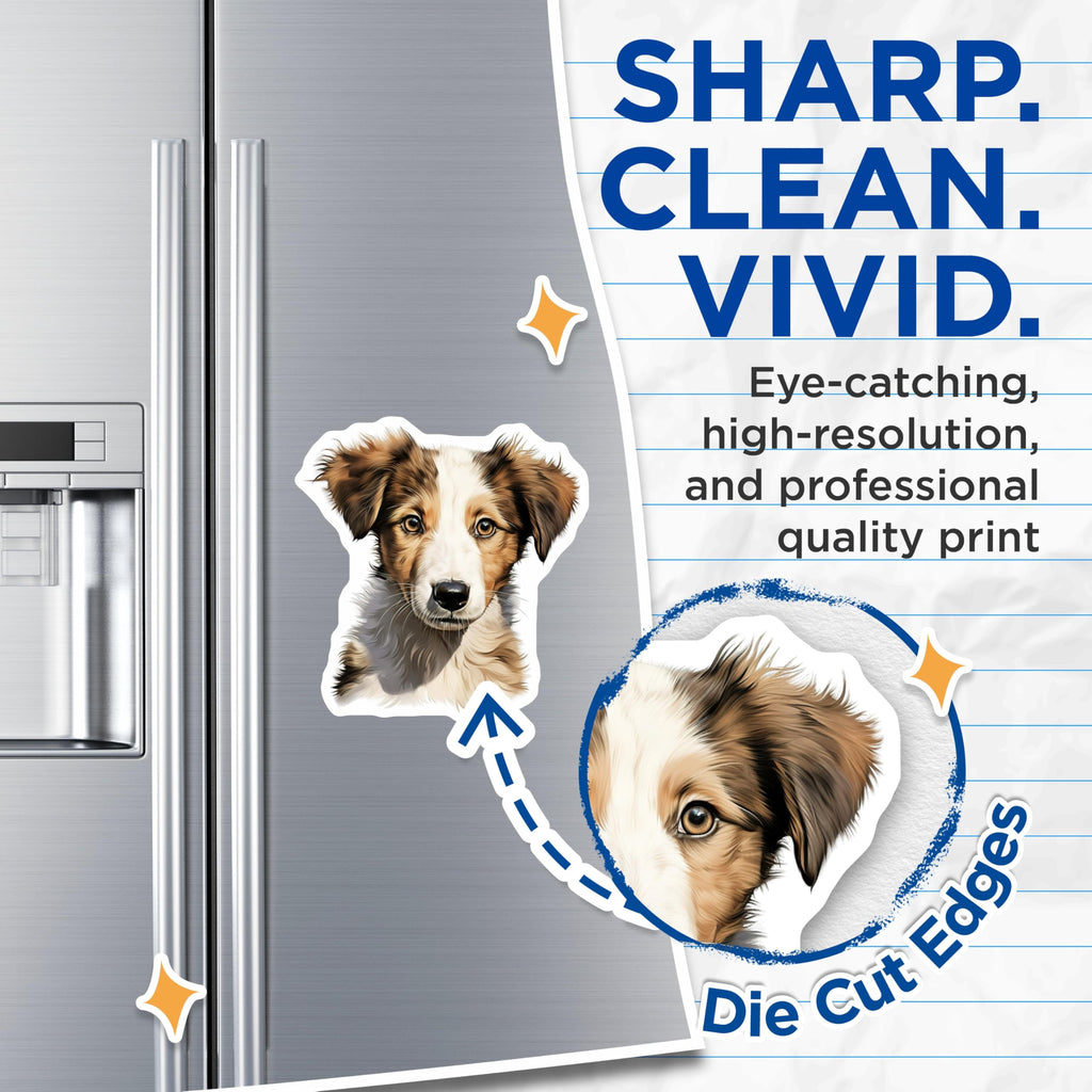(2 Pack) Adorable Puppy Magnets - Dog Lover Refrigerator Decor - Pet Owner Home Accessories - Cute Collie Puppy Art - 5 Inches On Longest Side - Thick Durable Magnet - Made in USA - MAG28542