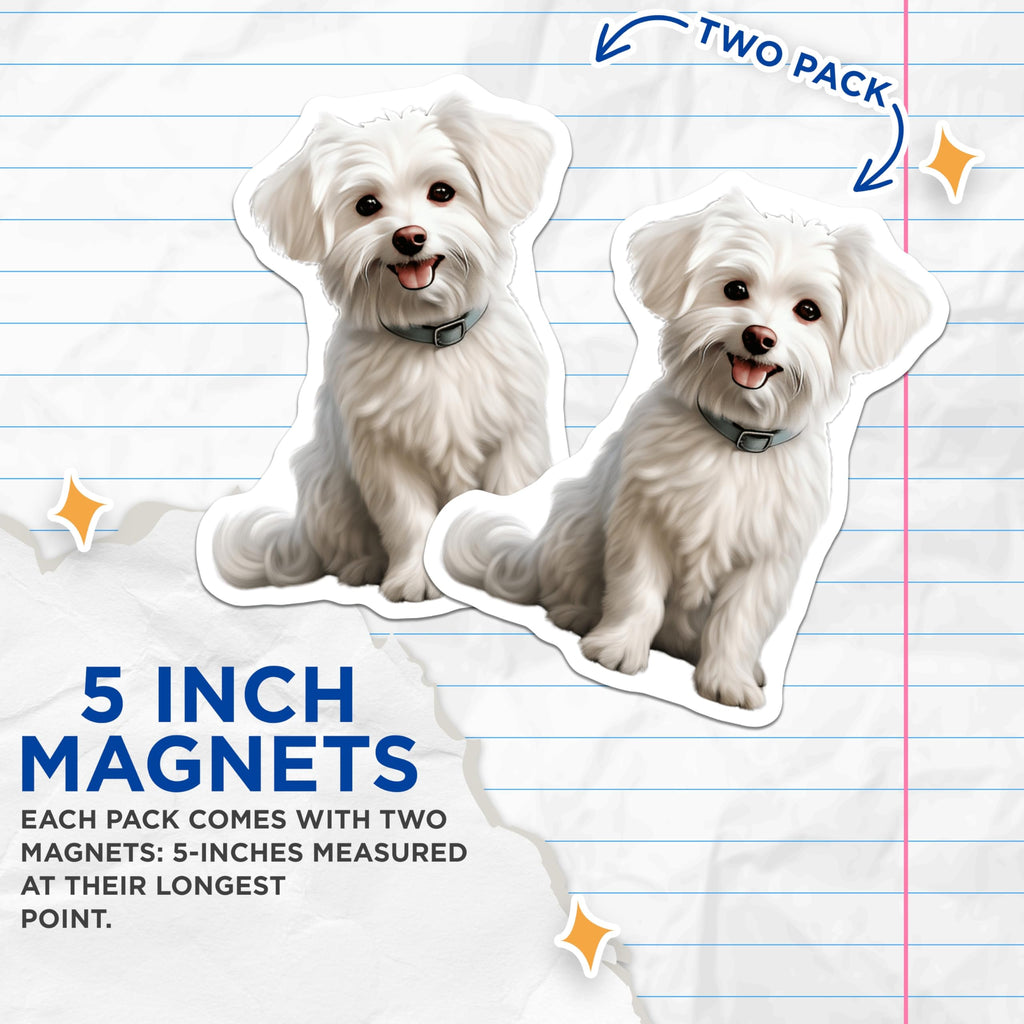 (2 Pack) Maltese Dog Magnets - Cute Fluffy Puppy Refrigerator Decor - Adorable White Canine Pet Lover Home Decor - 5 Inches On Longest Side - Thick Durable Magnet - Made in USA - MAG24240
