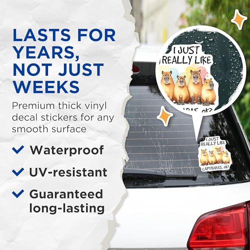(2 Pack) Capybara Lover Stickers - Cute Animal Stickers - I Just Really Like Capybaras OK Stickers - 5" On Longest Side - Sticks to Any Smooth Flat Surface - Made in USA - BMCS3257