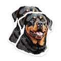 (2 Pack) Rottweiler Dog Magnets - Pet Owner Refrigerator Decor - Animal Lover Dog Mom Dad Gifts - 5 Inches On Longest Side - Thick Durable Magnet - Made in USA - MAG26548