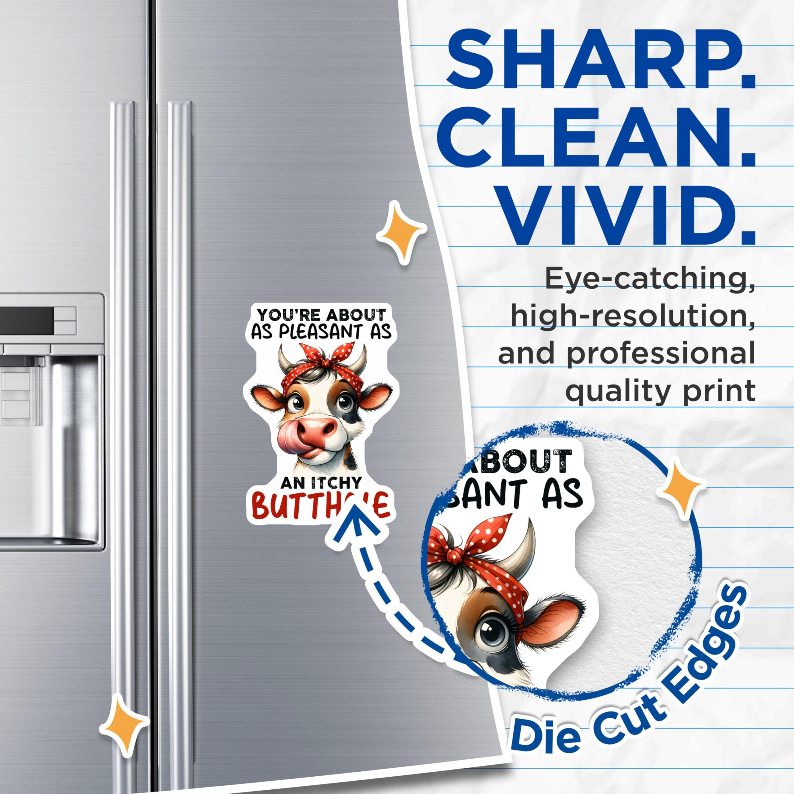 (2 Pack) Funny Cow Magnets - Sarcastic Quote Refrigerator Magnets - Itchy Butthole Humor - 5" On Longest Side - Premium Magnet - for Cars, Refrigerators, Toolboxes, Lockers - Made in USA - MAG16900